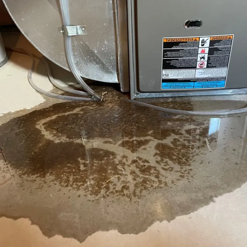Pipe Burst and Leak Restoration in Harlem, NY